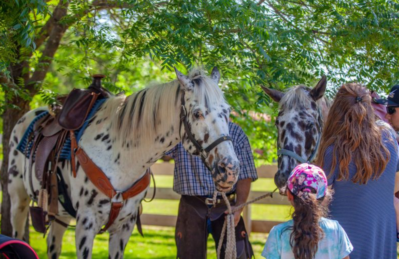 chisholm trail festival